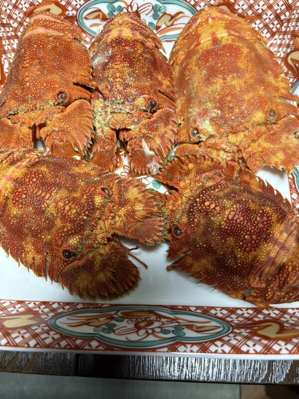 先日はありがとうございました🐣