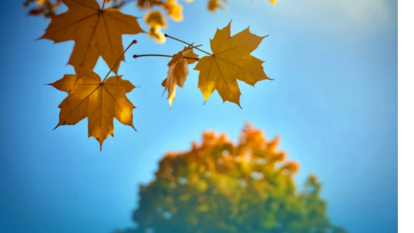 おはようございます😊