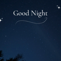 あたたかくしておやすみください🌙