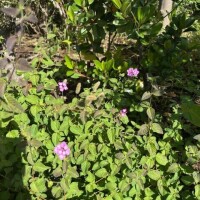 ありがとうございました(^^)