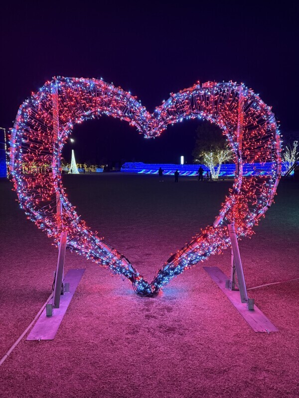 イルミネーション