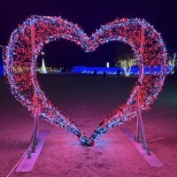 イルミネーション