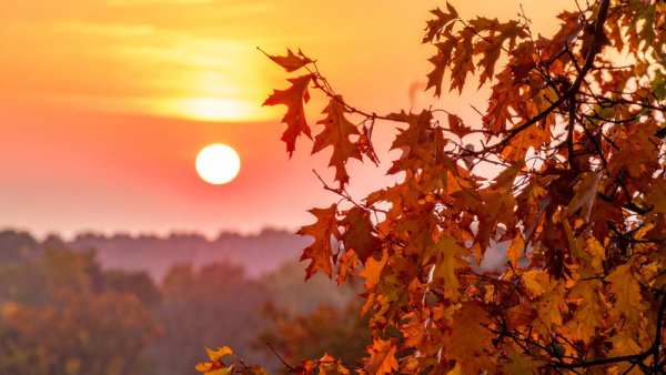 ありがとうございました🫧