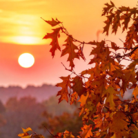 ありがとうございました🫧