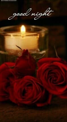 おやすみなさい