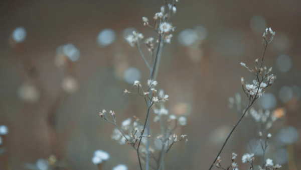 おはようございます😊