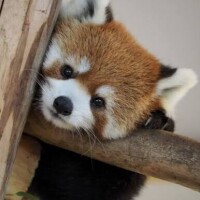 Re:こんばんは🌆