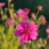 おはようございます✨