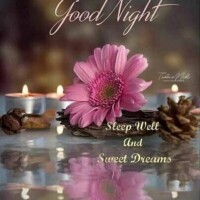 おやすみなさい