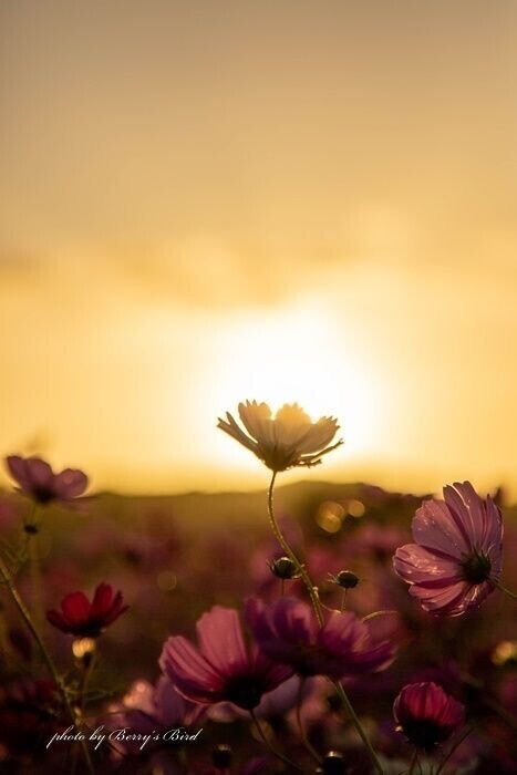 おはようございます♪