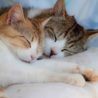 ほっこり(◍︎´꒳`◍︎)❤️