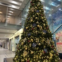 お疲れ様でした😊