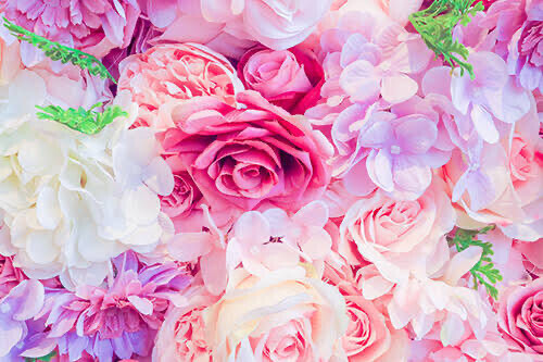 おはようございます