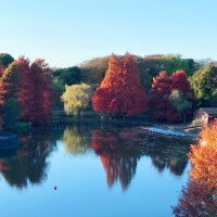 おはようございます