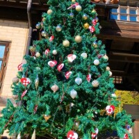 おはようございます