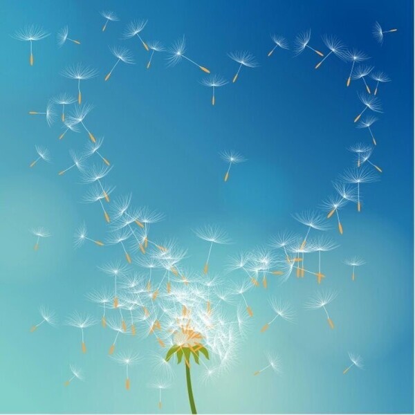 12月初日ありがとう♪