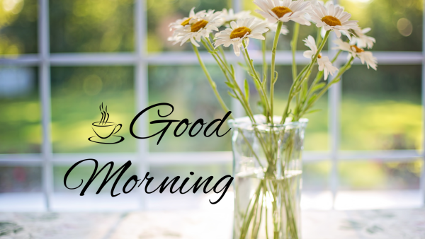 おはようございます