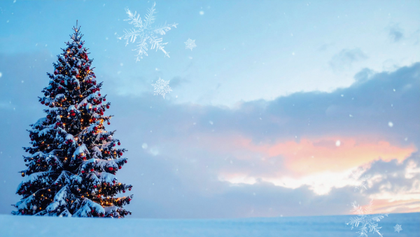 こんばんは🌙*ﾟ ありがとうを込めて