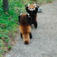 Re: こんばんは🌆