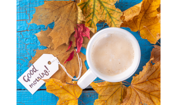 おはようございます☀