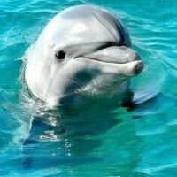 Re: こんばんは🌆