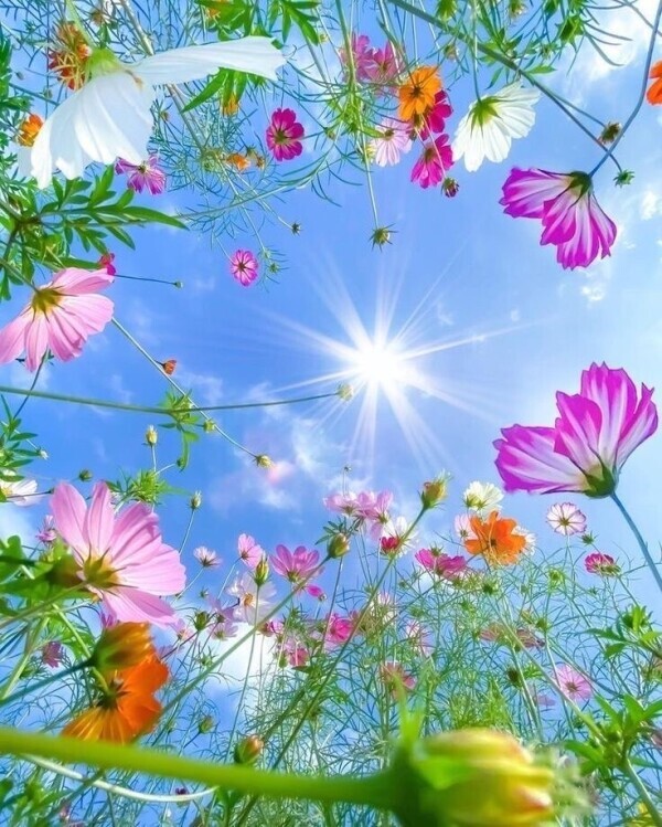 おはようございます