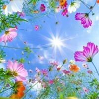 おはようございます