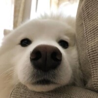 おはようございます