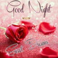 おやすみなさい