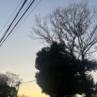 本日12時～出勤します