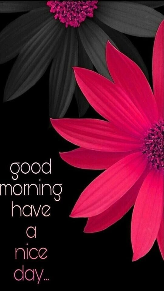 おはようございます