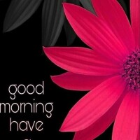 おはようございます