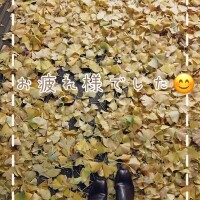 お疲れ様でした🌙✨️