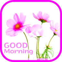 おはようございます