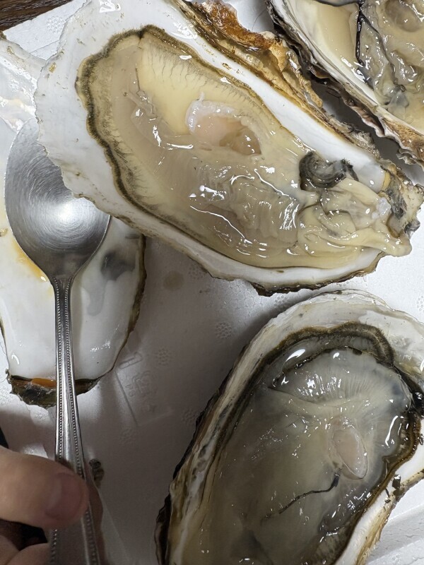 ヌル本お支度出来ました！！