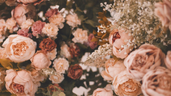 このあともお待ちしてます🪽