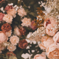 このあともお待ちしてます🪽