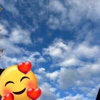 おはようございます