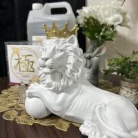 お部屋の準備完了です🌹✨