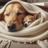 ☀️おはようございます！☀️