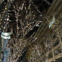 こんばんは✨️