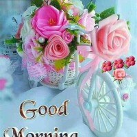 おはようございます