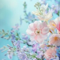 お知らせです‼️‼️