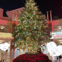 おはようございます☀