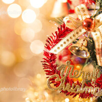 Re: Merry Christmas🌲