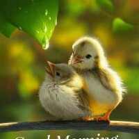 おはようございます