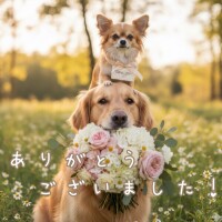 最終日ありがとうございました！