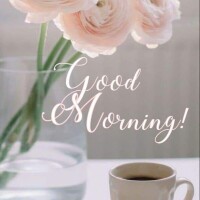 おはようございます