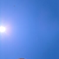 こんにちは☀️