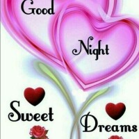 おやすみなさい